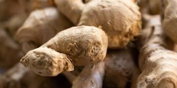 Ginger