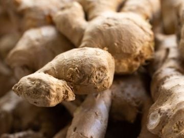 Ginger