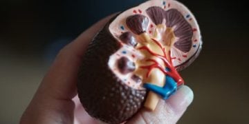 Kidney Disease