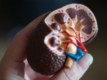 Kidney Disease